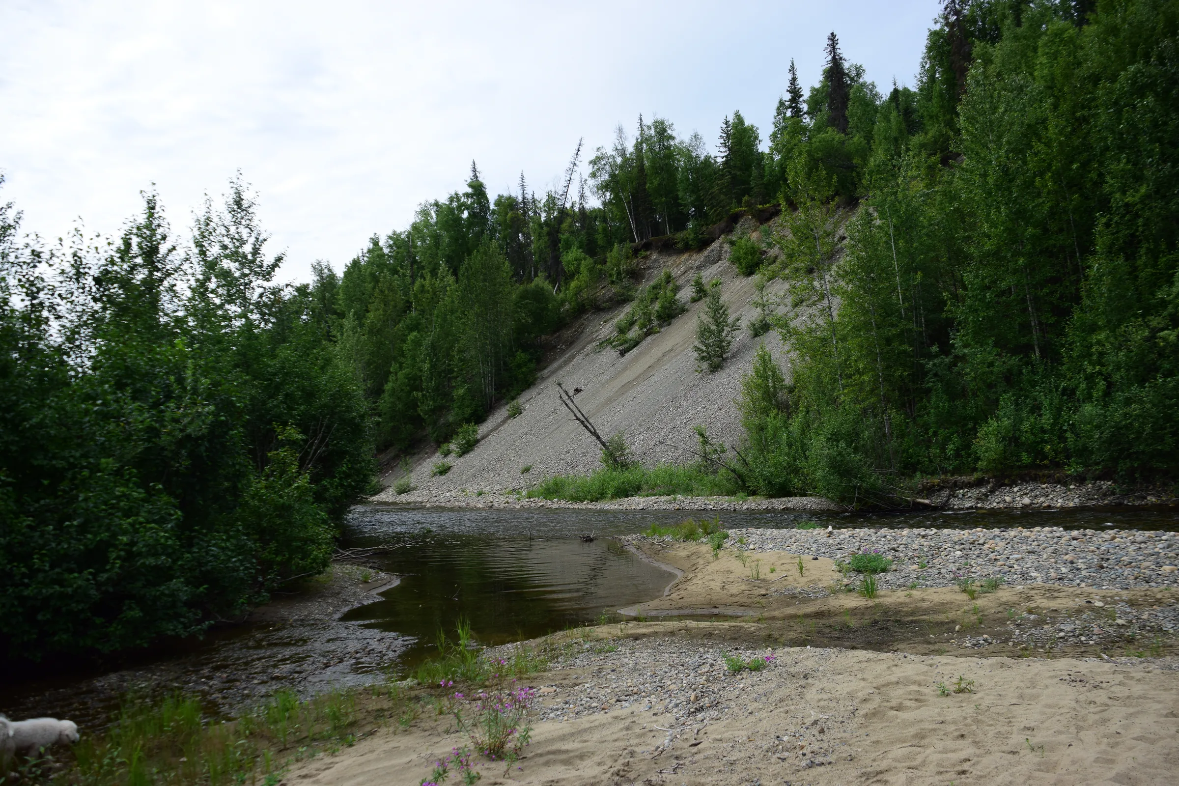 Photograph from Alaska