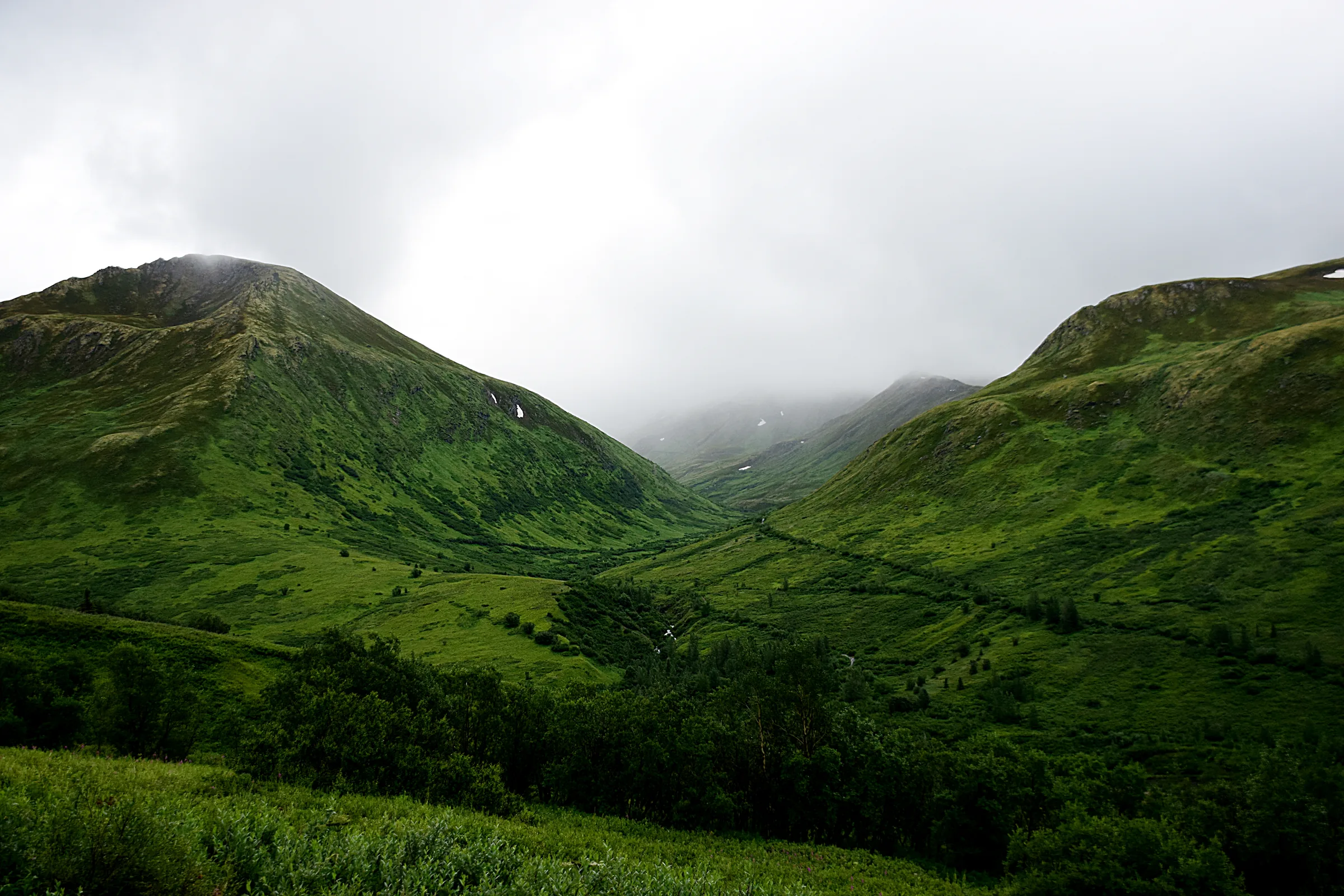 Photograph from Alaska