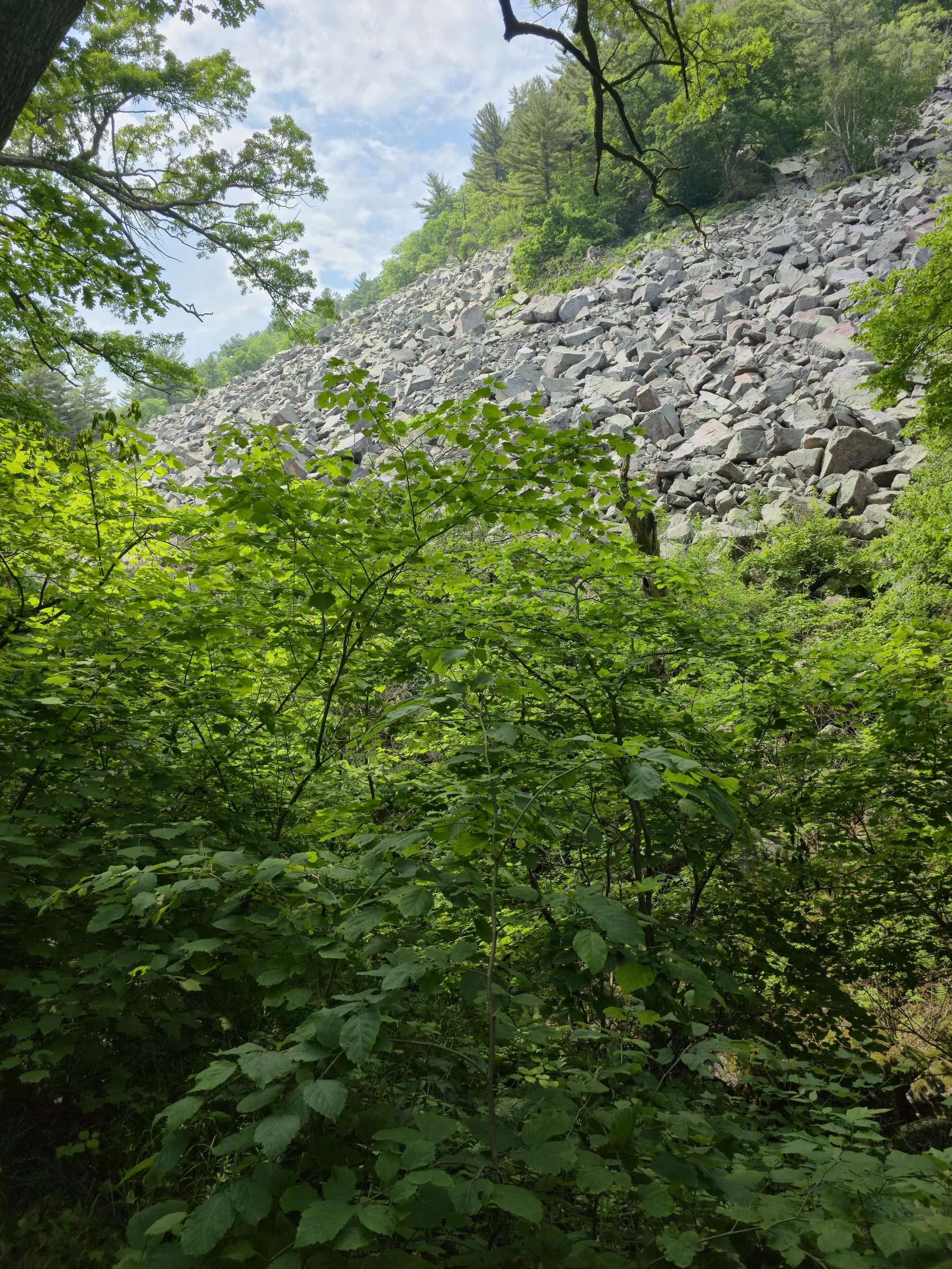 Photograph from Devil'S Lake